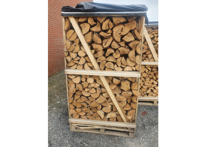 Savant Achteruit intellectueel Winddroog brandhout BERK | Brandstoffen Toon
